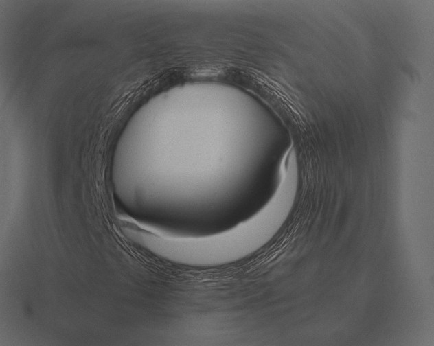 X0000116561441200912241605