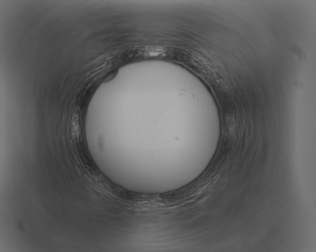 X0000116561442200912241605