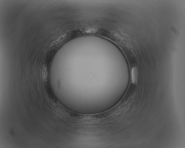 X0000116561443200912241605