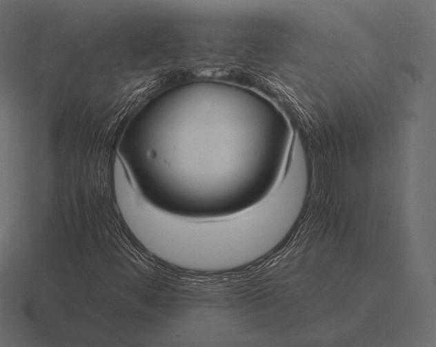 X0000116561444200912241605