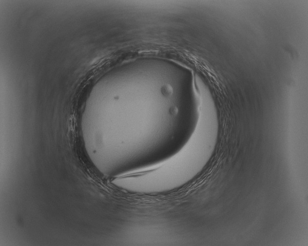 X0000116561445200912241605