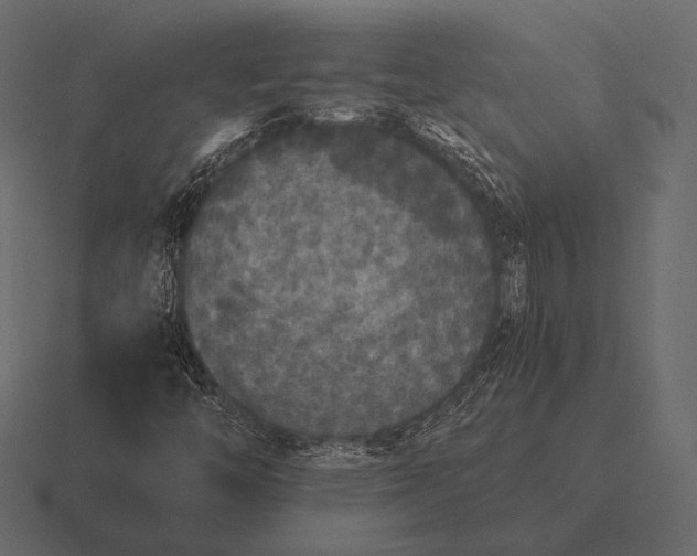 X0000116561446200912241605