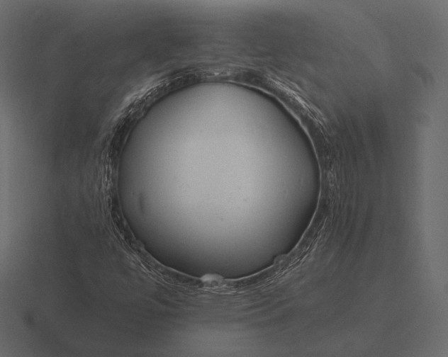 X0000116561447200912241605