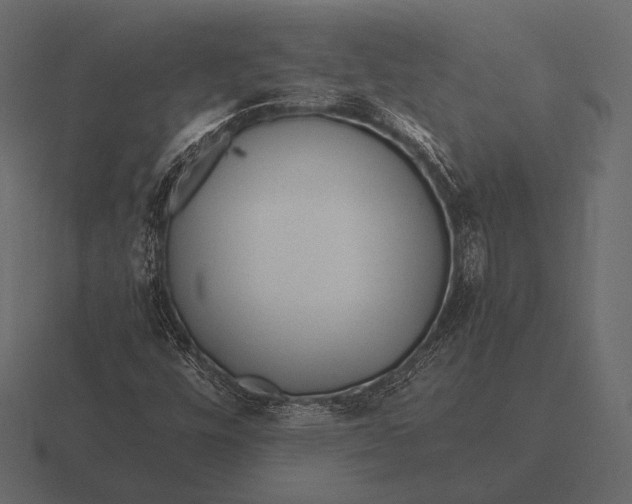 X0000116561448200912241605