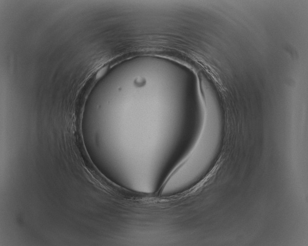 X0000116561449200912241605