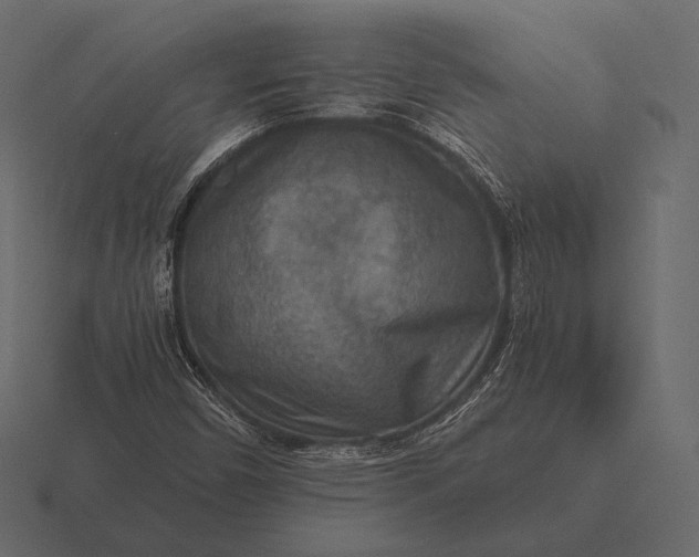 X0000116561450200912241605