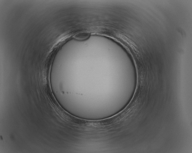 X0000116561451200912241605