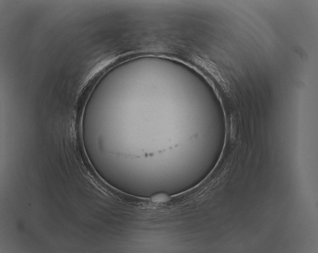 X0000116561452200912241605