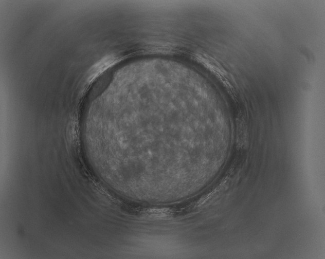 X0000116561453200912241605