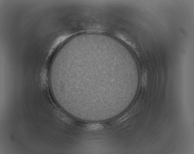 X0000116561454200912241605