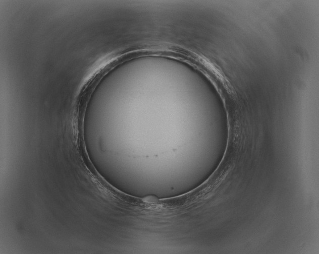 X0000116561456200912241605