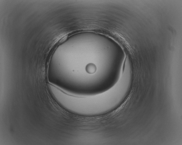 X0000116561457200912241605