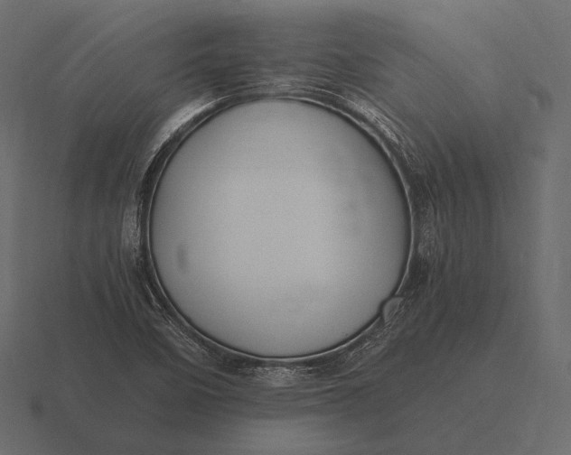 X0000116561458200912241605