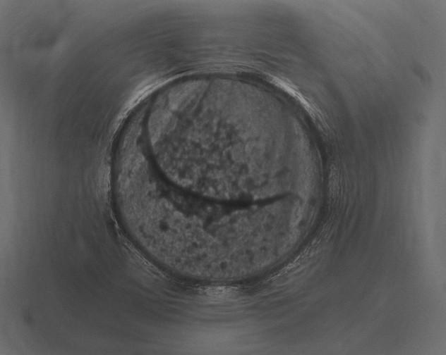 X0000116561459200912241605