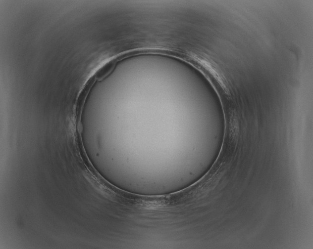 X0000116561460200912241605