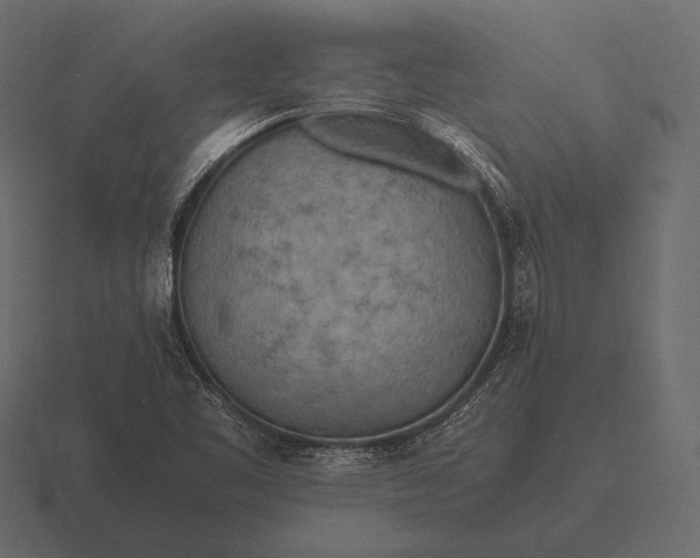 X0000116561461200912241605