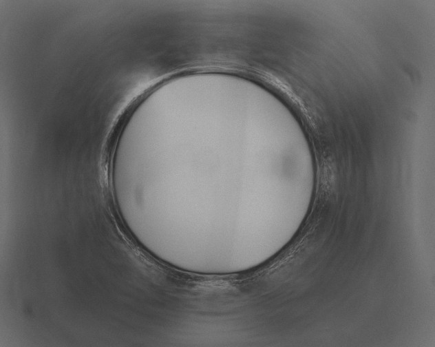 X0000116561462200912241605