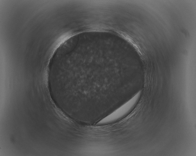 X0000116561463200912241605