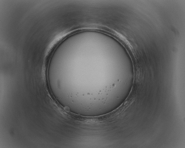 X0000116561464200912241605