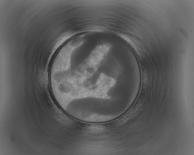 X0000116561466200912241605