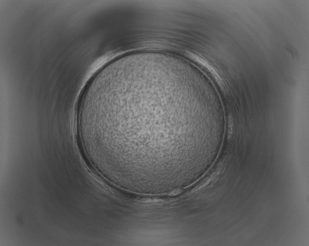 X0000116561467200912241605