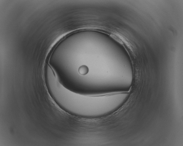 X0000116561468200912241605