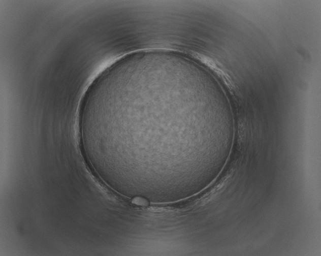 X0000116561469200912241605