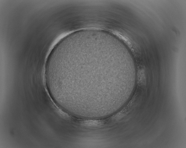 X0000116561470200912241605