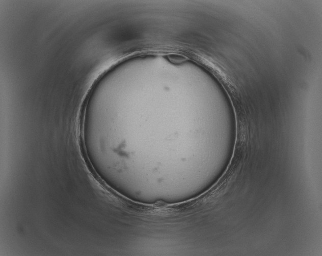 X0000116561471200912241605