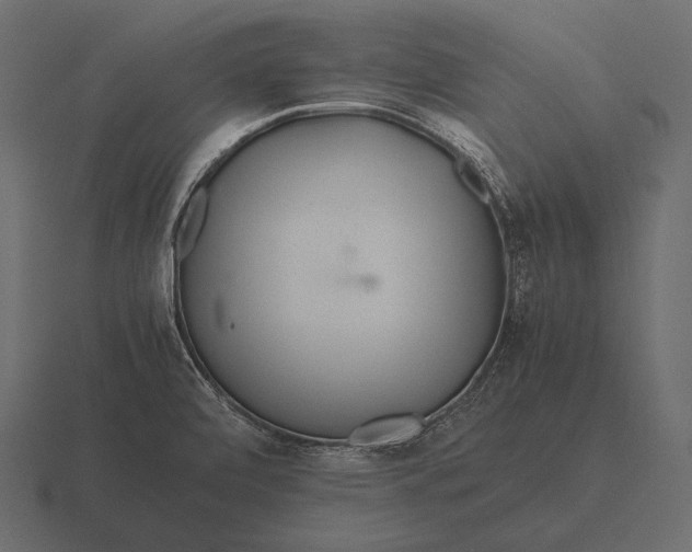 X0000116561472200912241605