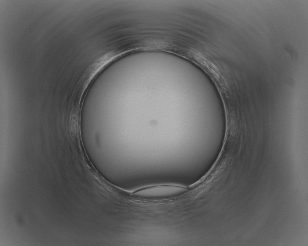 X0000116561473200912241605