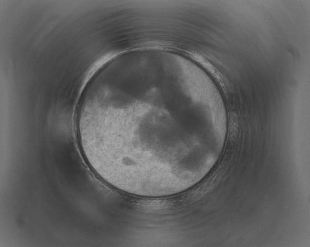 X0000116561474200912241605