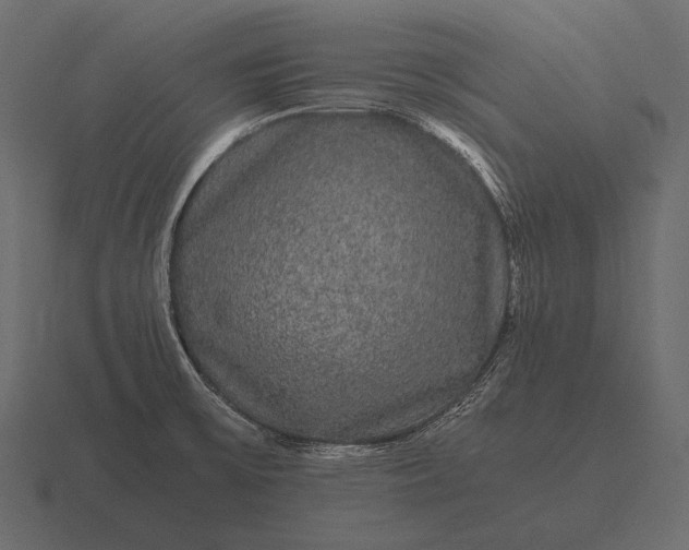 X0000116561475200912241605