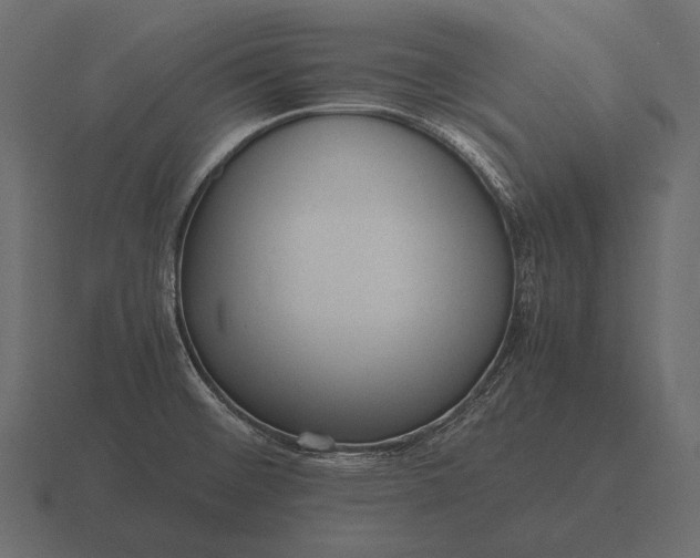 X0000116561476200912241605