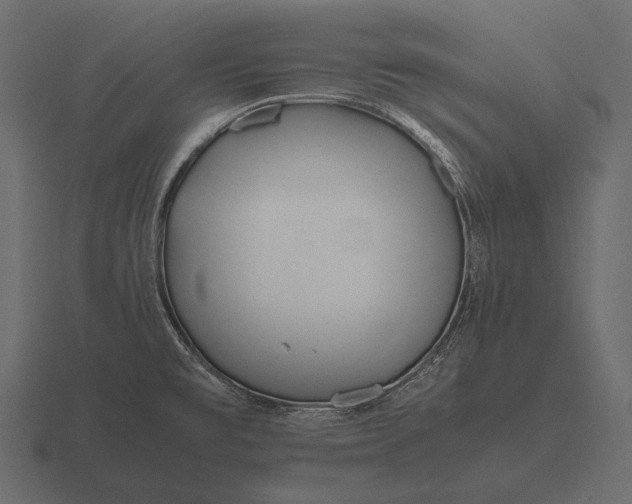 X0000116561477200912241605