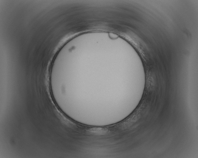 X0000116561478200912241605