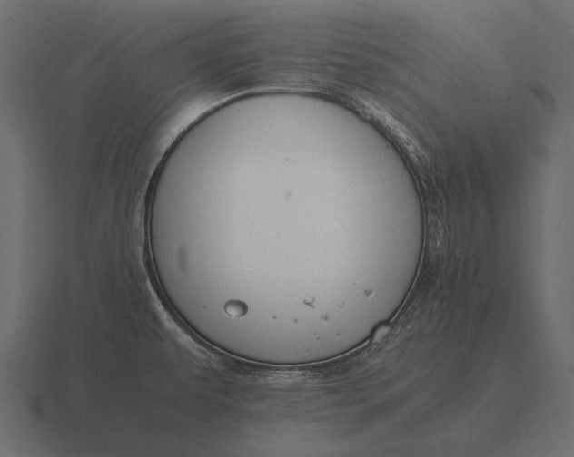 X0000116561479200912241605