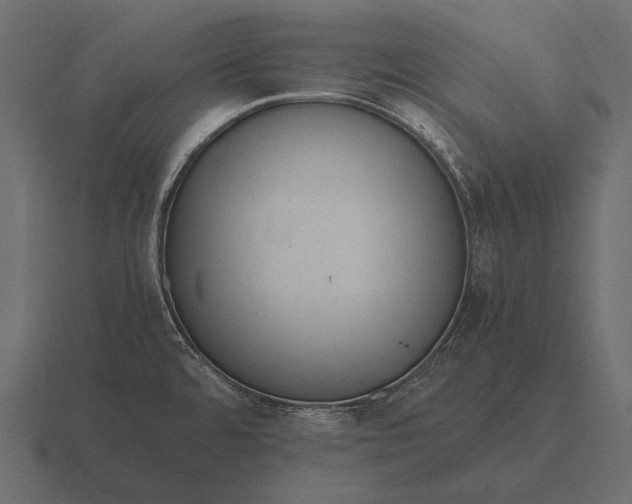 X0000116561480200912241605