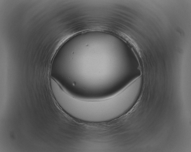 X0000116561481200912241605