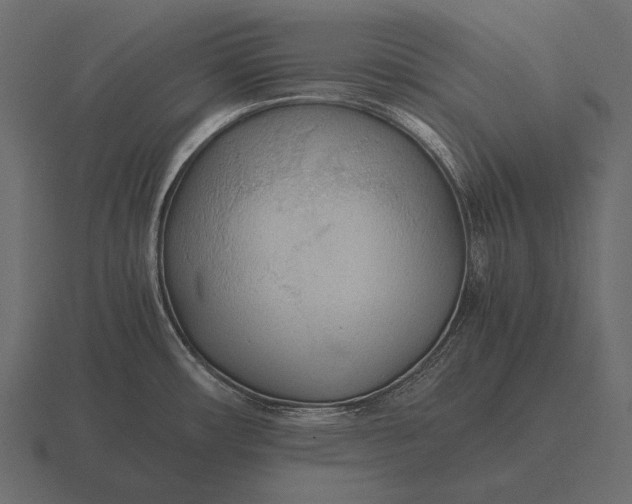 X0000116561482200912241605