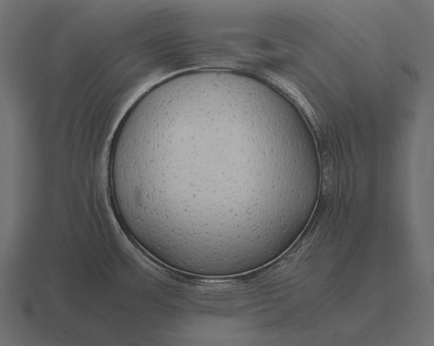 X0000116561483200912241605