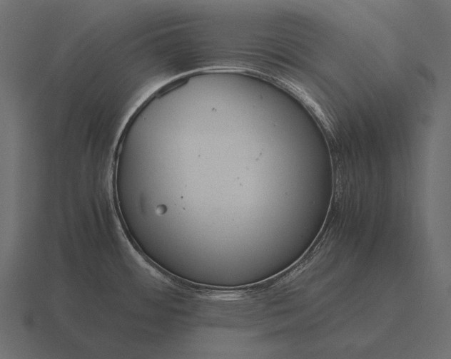 X0000116561484200912241605