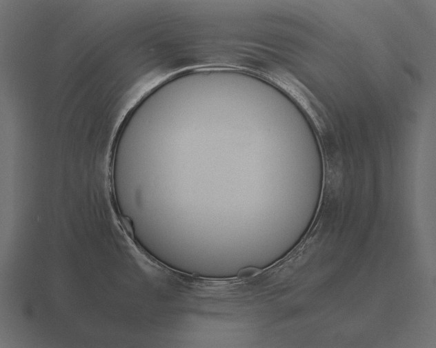 X0000116561485200912241605