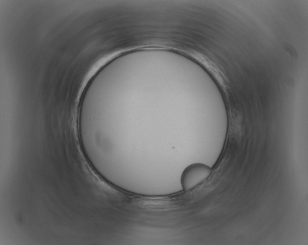 X0000116561486200912241605