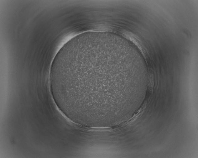 X0000116561487200912241605