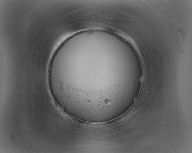 X0000116561488200912241605