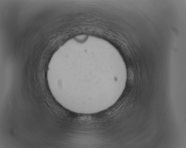 X0000116561489200912241604