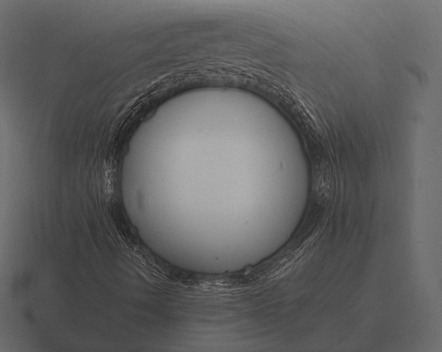 X0000116561490200912241604