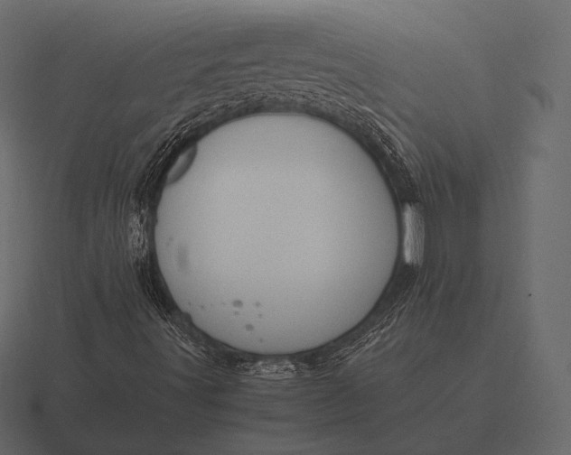 X0000116561491200912241604