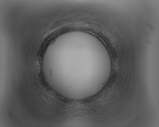 X0000116561493200912241604